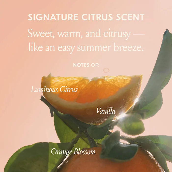 Dae Freshly Picked Styling Trio *Pre-Order*
