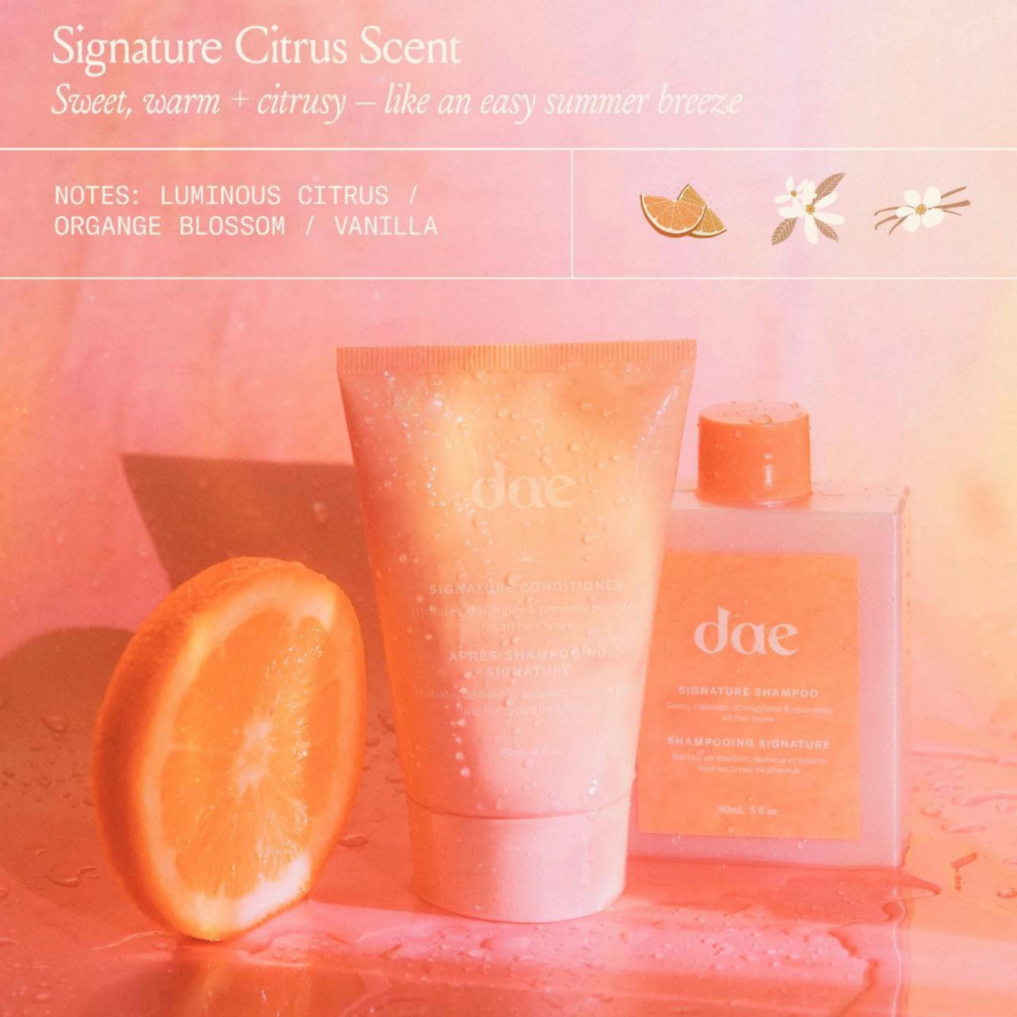 Dae Mini Wanderlust Signaure Shampoo & Conditioner Value Set a*Pre-Order*