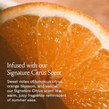 DAE SINGATURE CONDITIONER *PRE - ORDER*