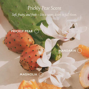 DAE PRICKLY PEAR HAIR OIL *PRE - ORDER*