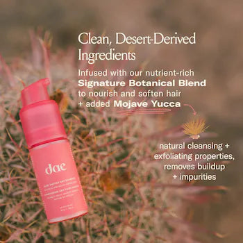 DAE FAIRY DUSTER VOLUMIZING DRY SHAMPOO POWDER *PRE - ORDER*